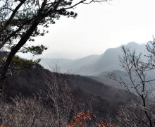 <광교산 사진=김홍범 기자>